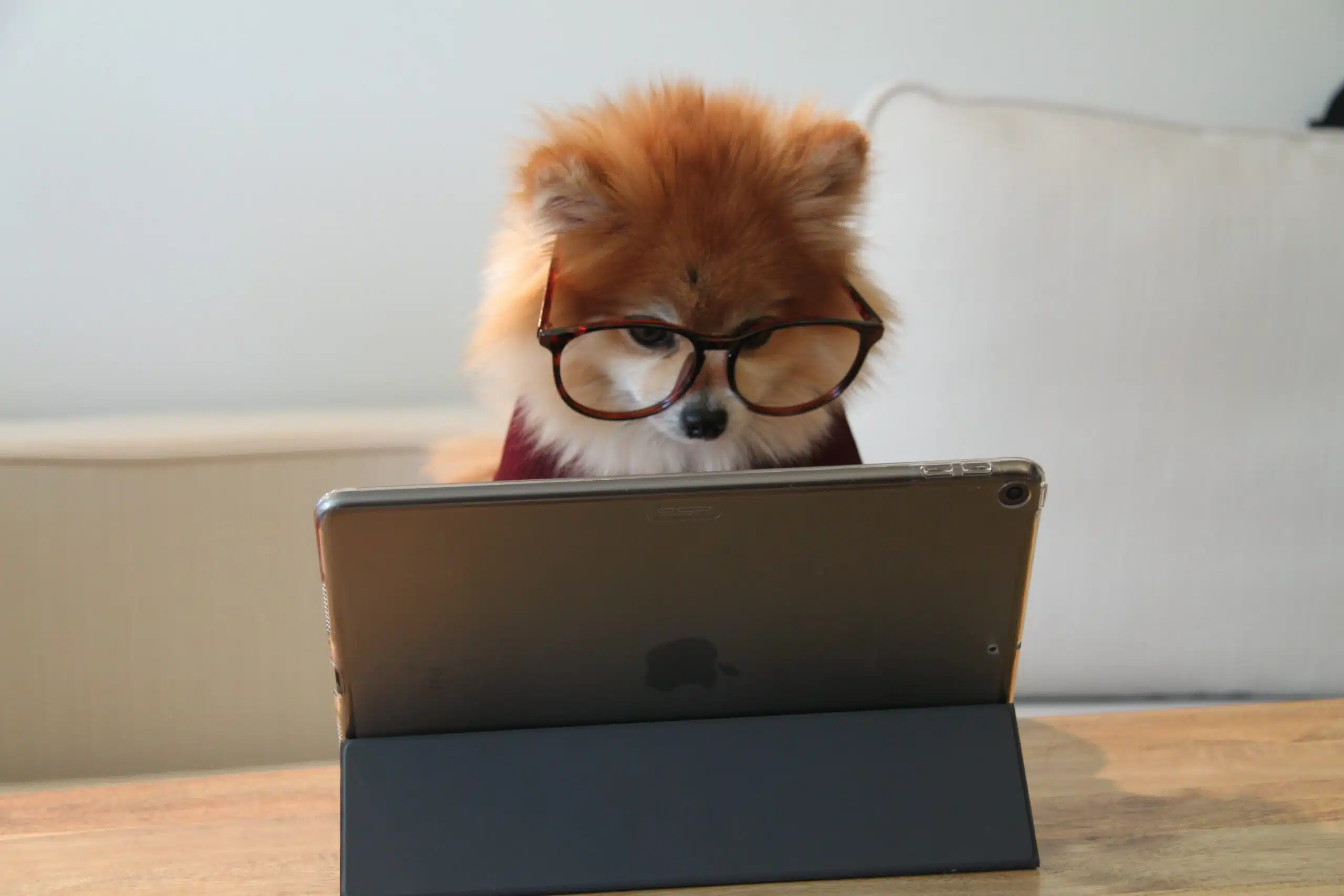 YOUR ONLINE PRESENCE – PART TWO